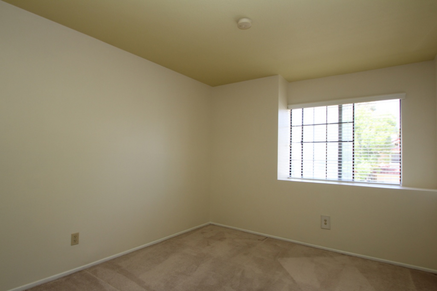 3912 Lost Springs Drive | Photo 16