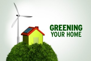 10 easy ways to green your home