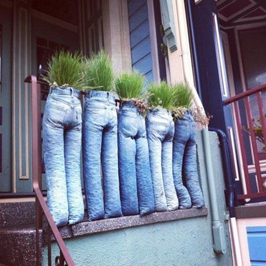 Jeans Planter