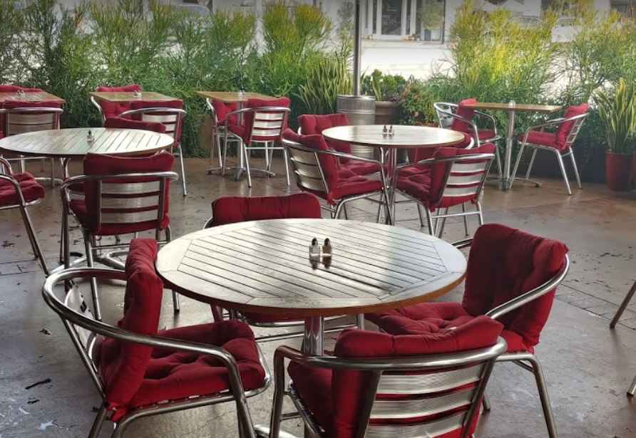 cement floor at novo cafe with metal chairs with red cushions around metal and wood tables greenery in the background
