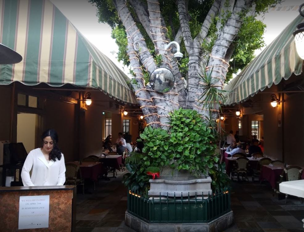outdoor restaurant with a tree and over hangs old courtyard