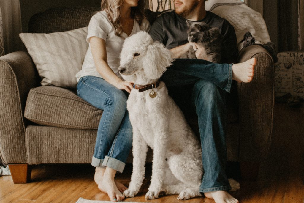 A couple at home with their pets