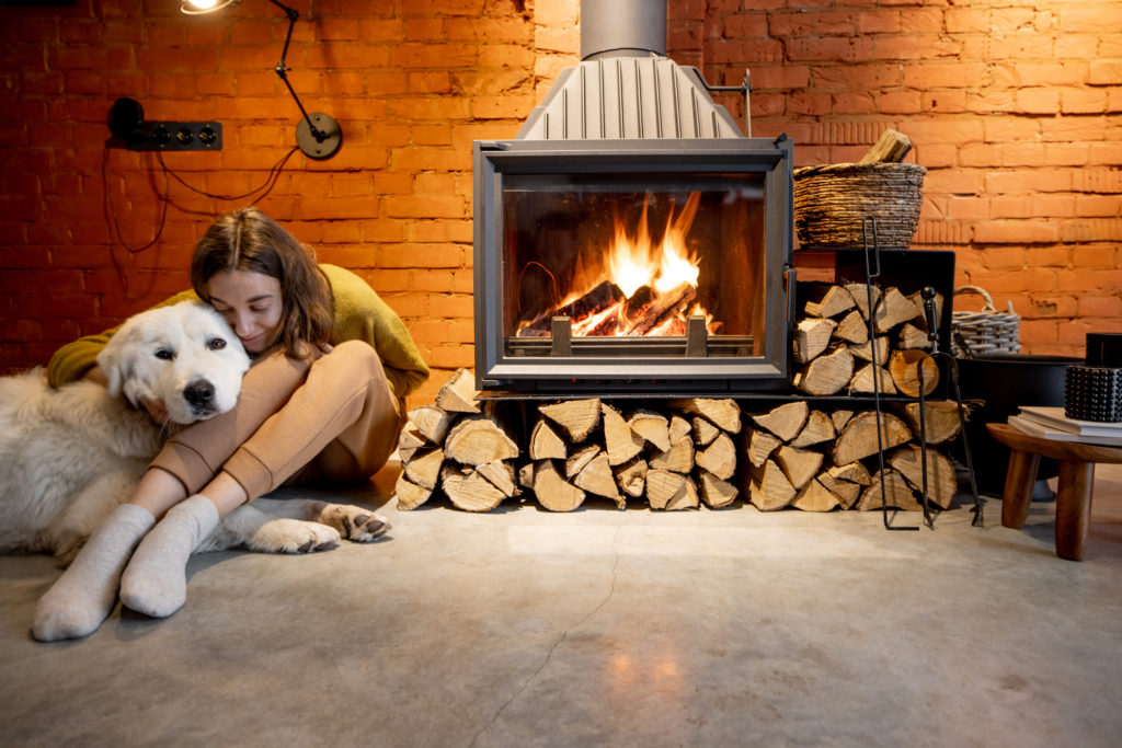 girl cuddling dog next to california fireplace up to state building code